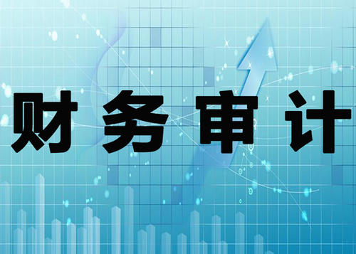 财务审计报告 财务审计报告是什么?