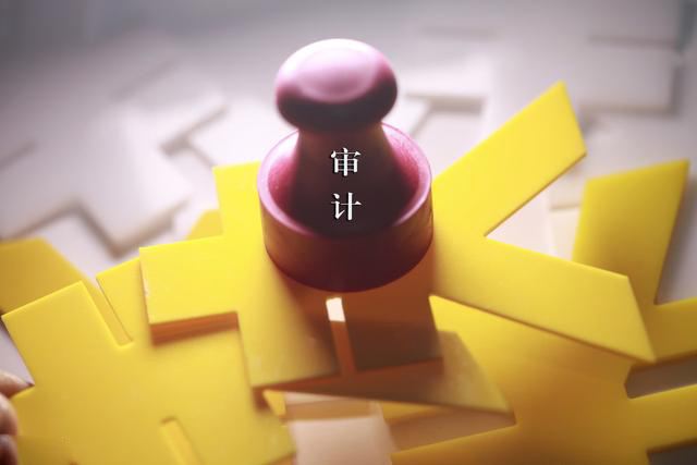“财务审计报告” 财务审计报告